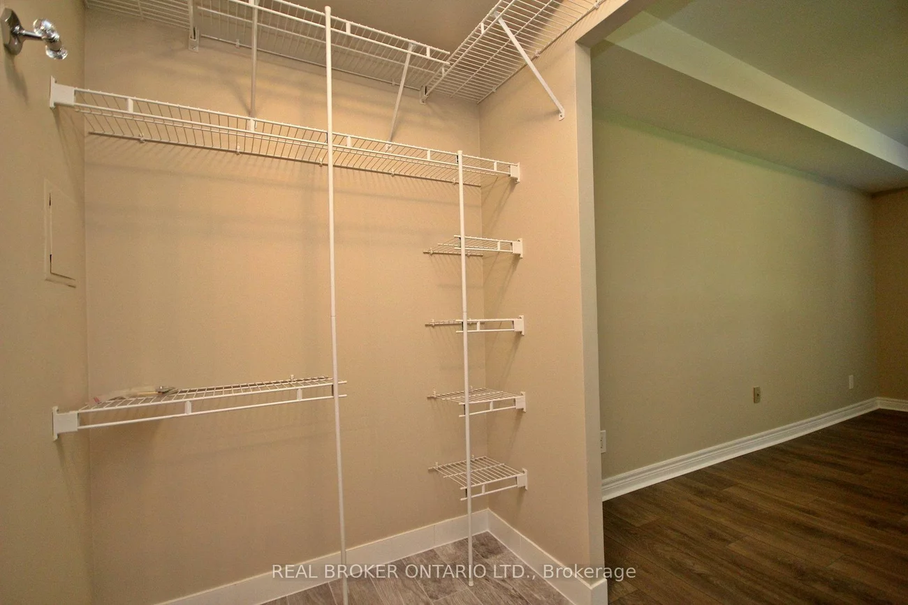 155, Main, Bristol-London, Newmarket