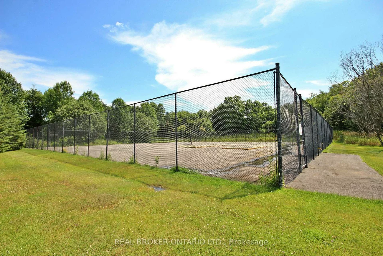 155, Main, Bristol-London, Newmarket