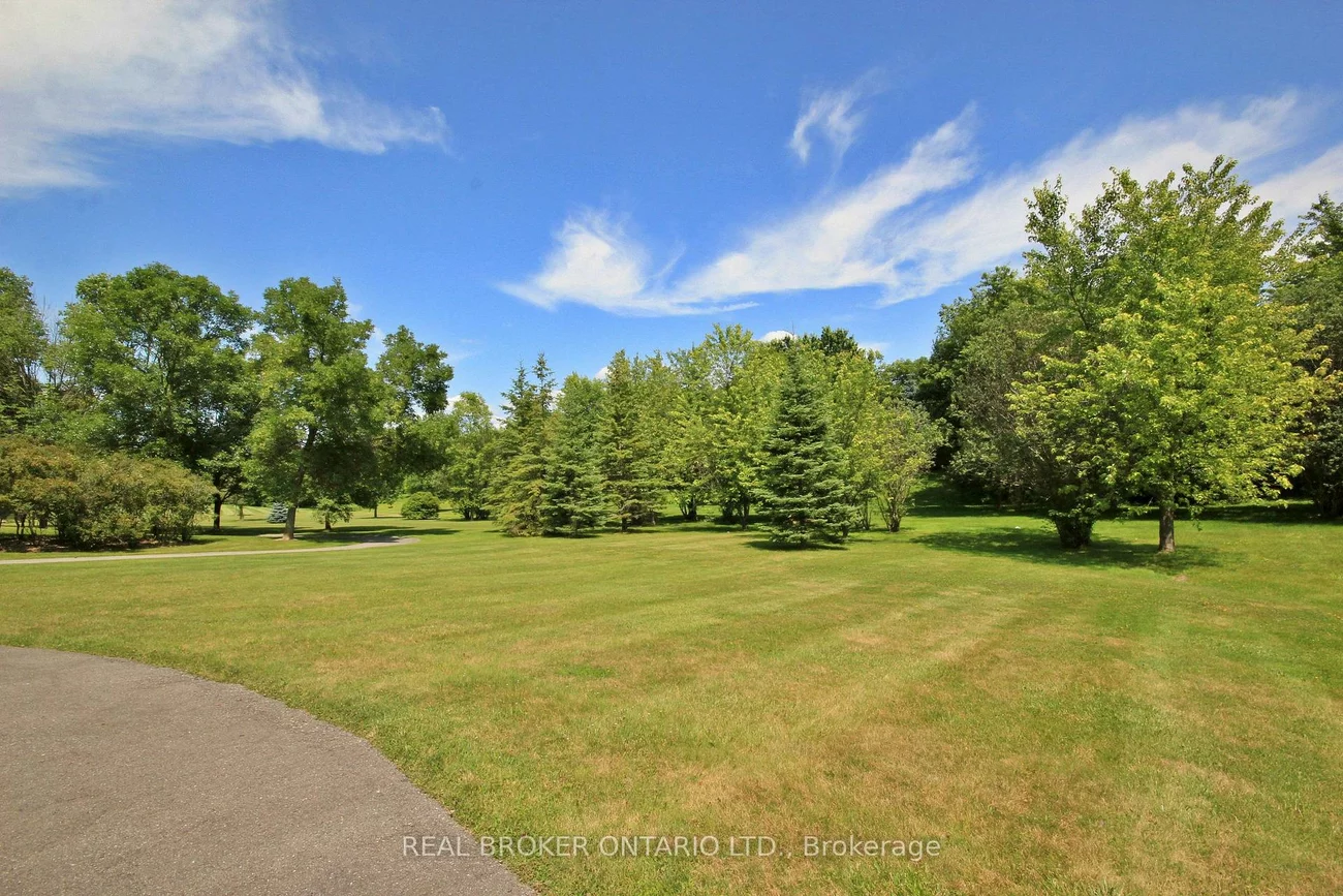 155, Main, Bristol-London, Newmarket