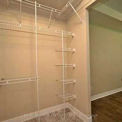 155, Main, Bristol-London, Newmarket