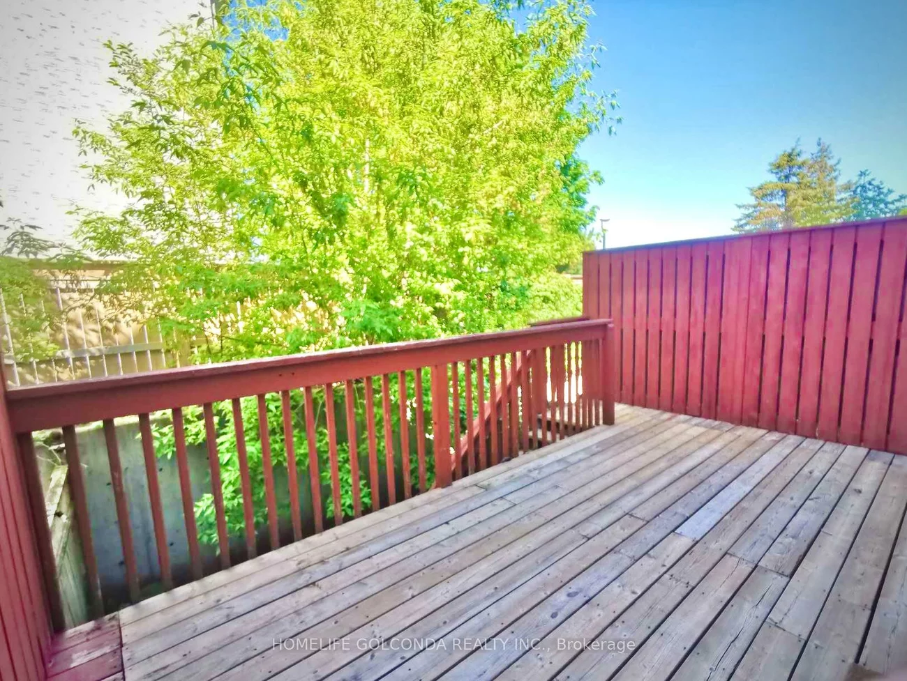 380, Riddell, Gorham-College Manor, Newmarket