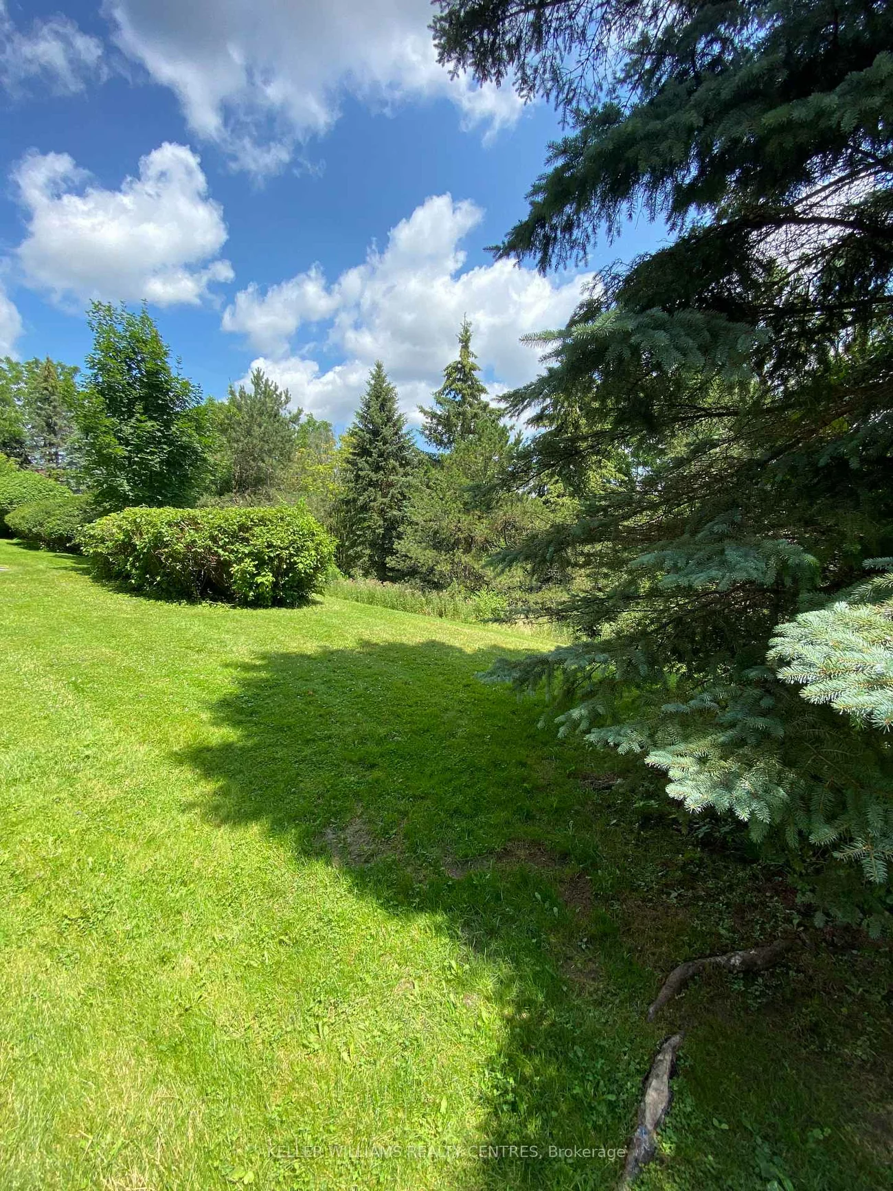 115, Main, Central Newmarket, Newmarket