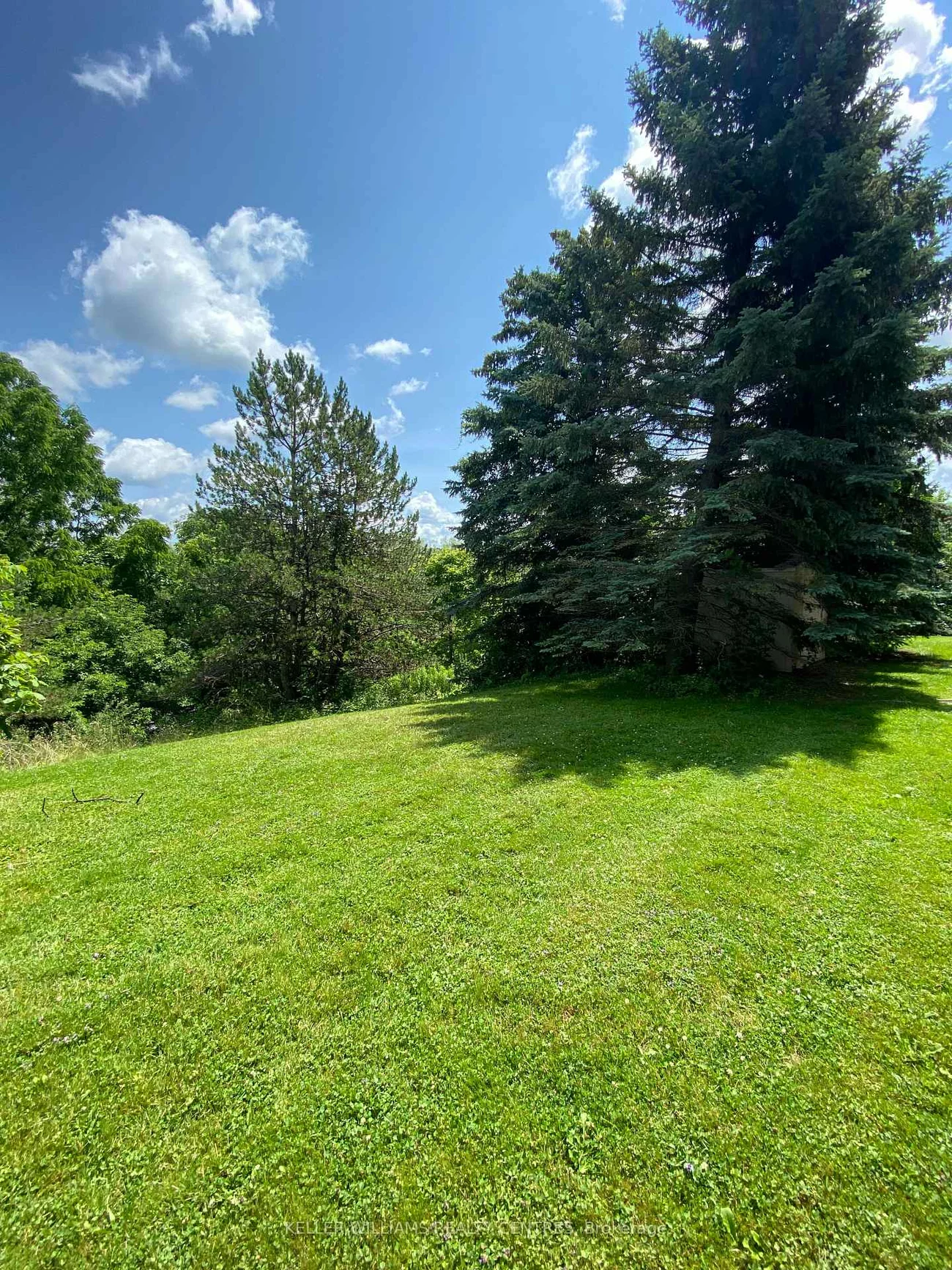 115, Main, Central Newmarket, Newmarket