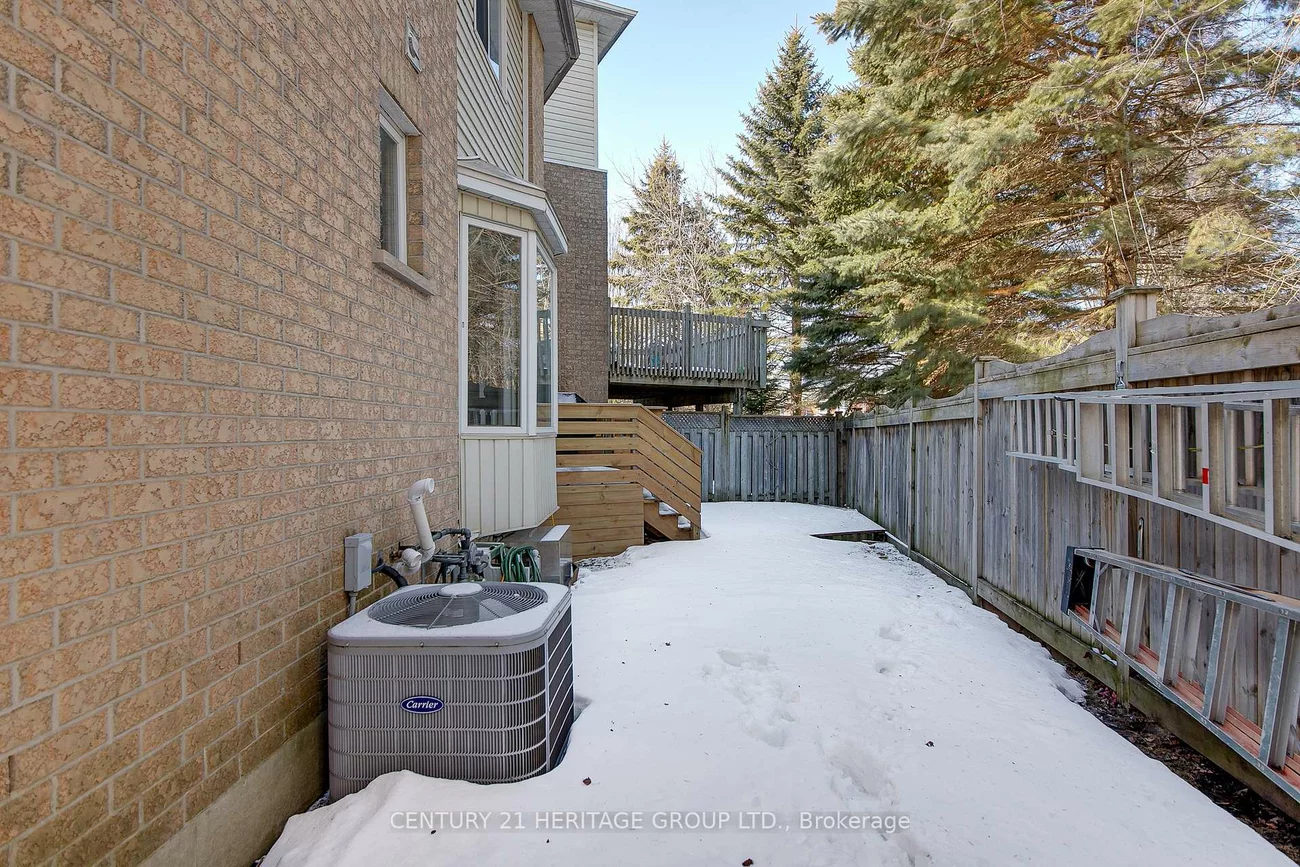 359, Riddell, Gorham-College Manor, Newmarket