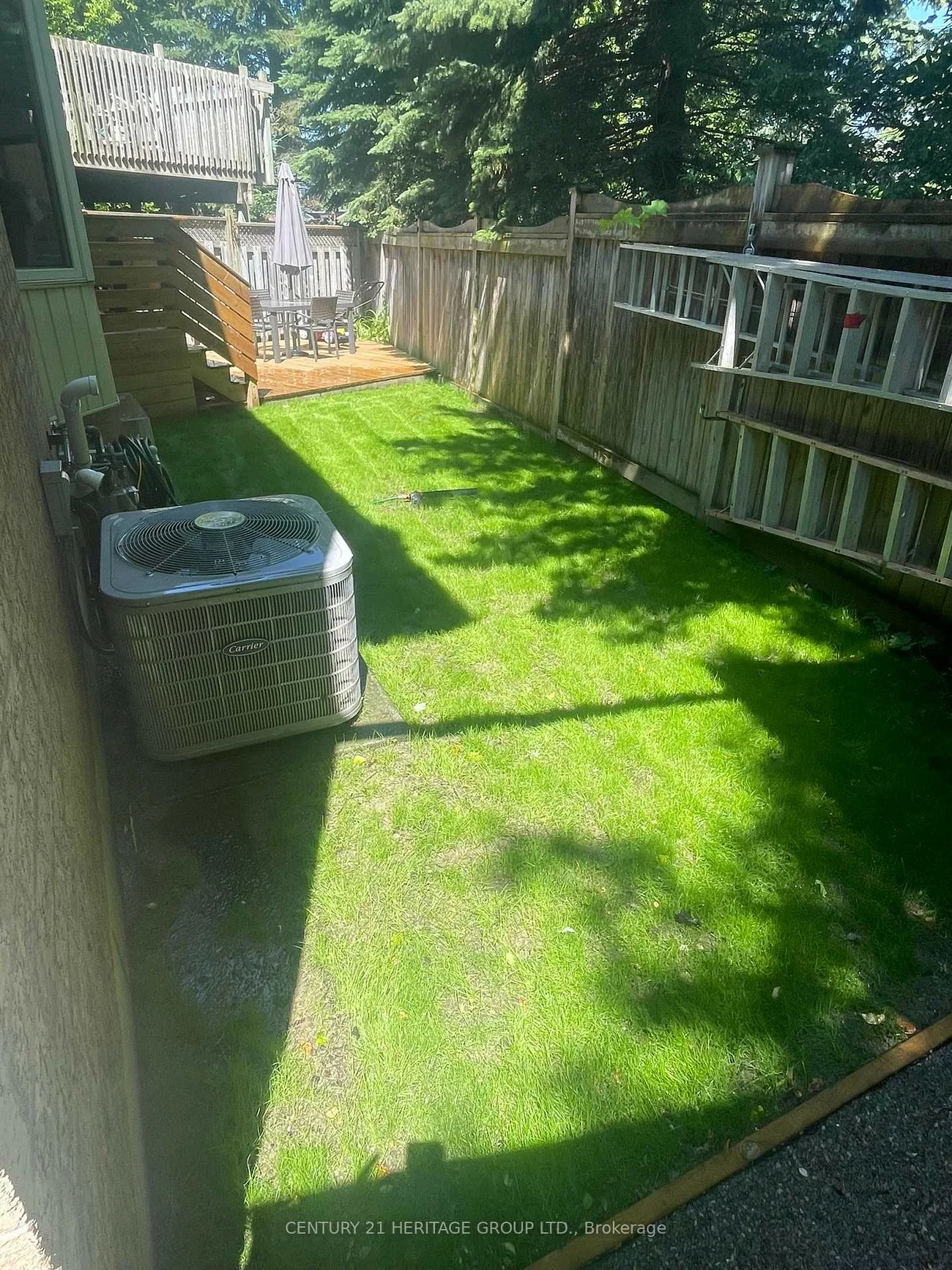 359, Riddell, Gorham-College Manor, Newmarket