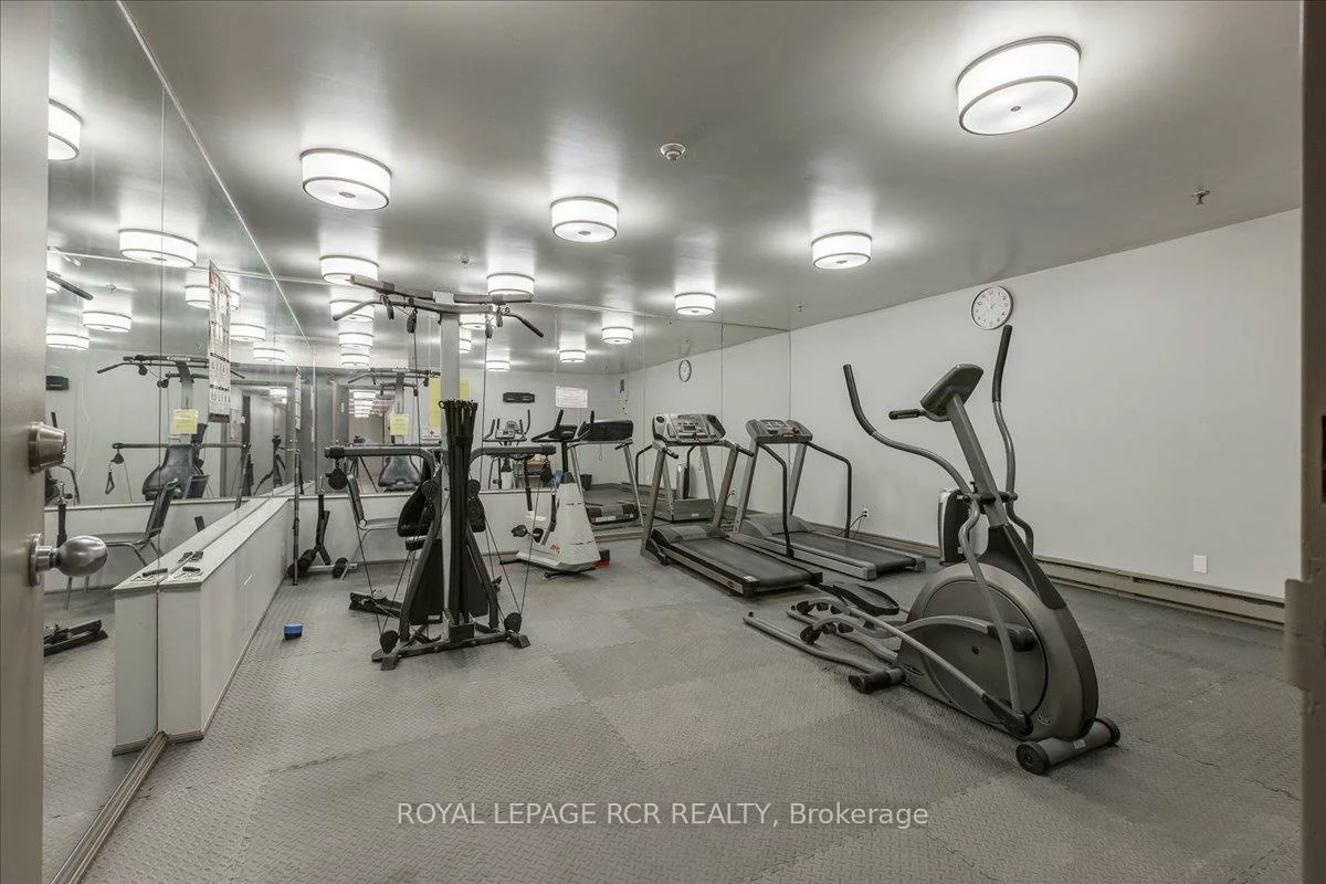 155, Main, Bristol-London, Newmarket