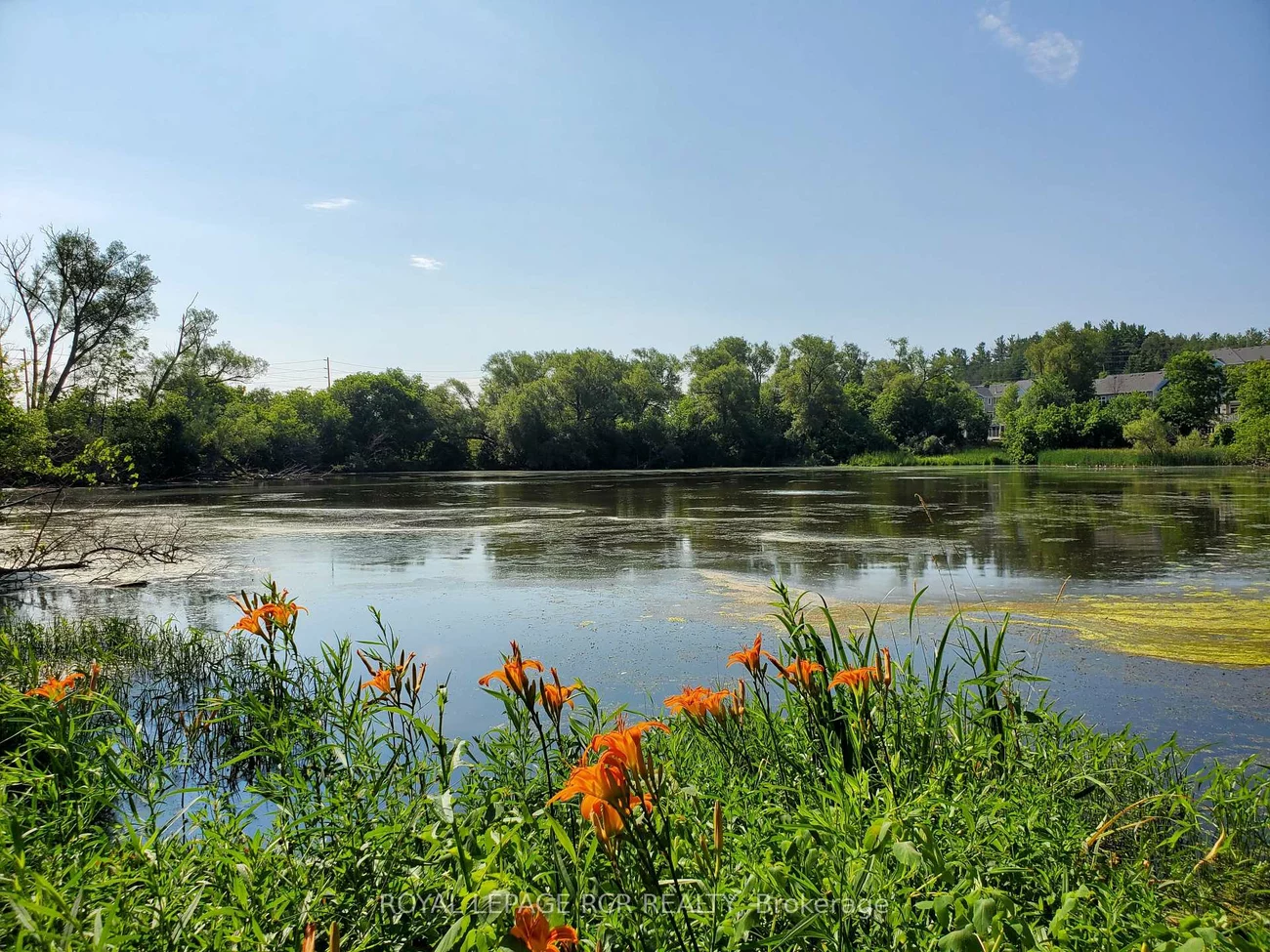 925, Creekfront, Gorham-College Manor, Newmarket