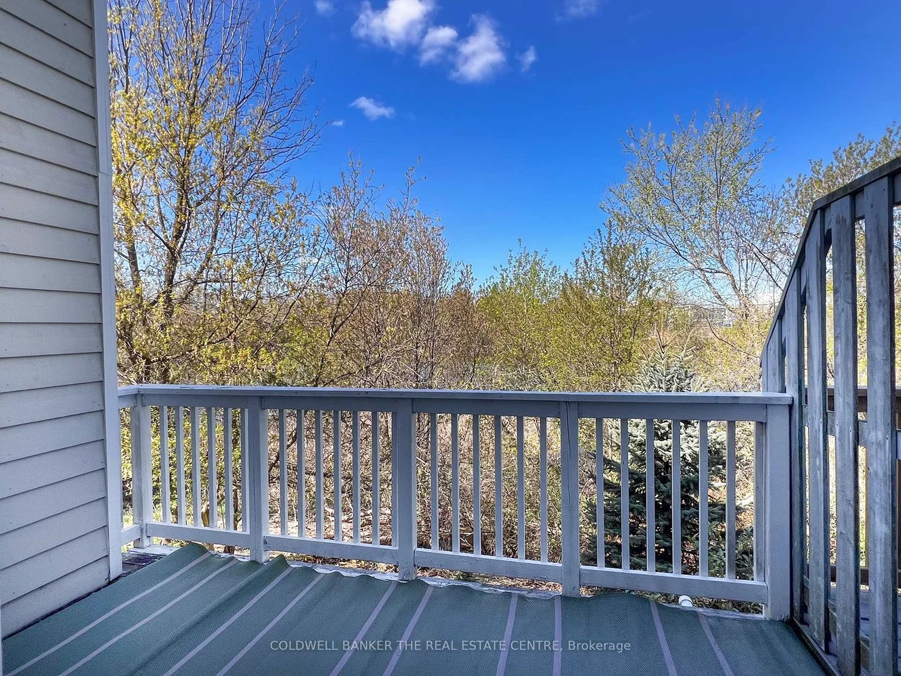 991, On Bogart, Gorham-College Manor, Newmarket