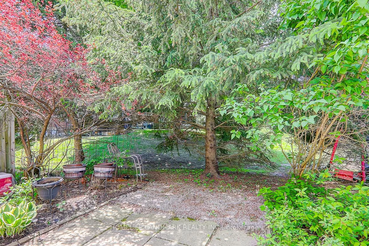 538, Jack Giles, Summerhill Estates, Newmarket