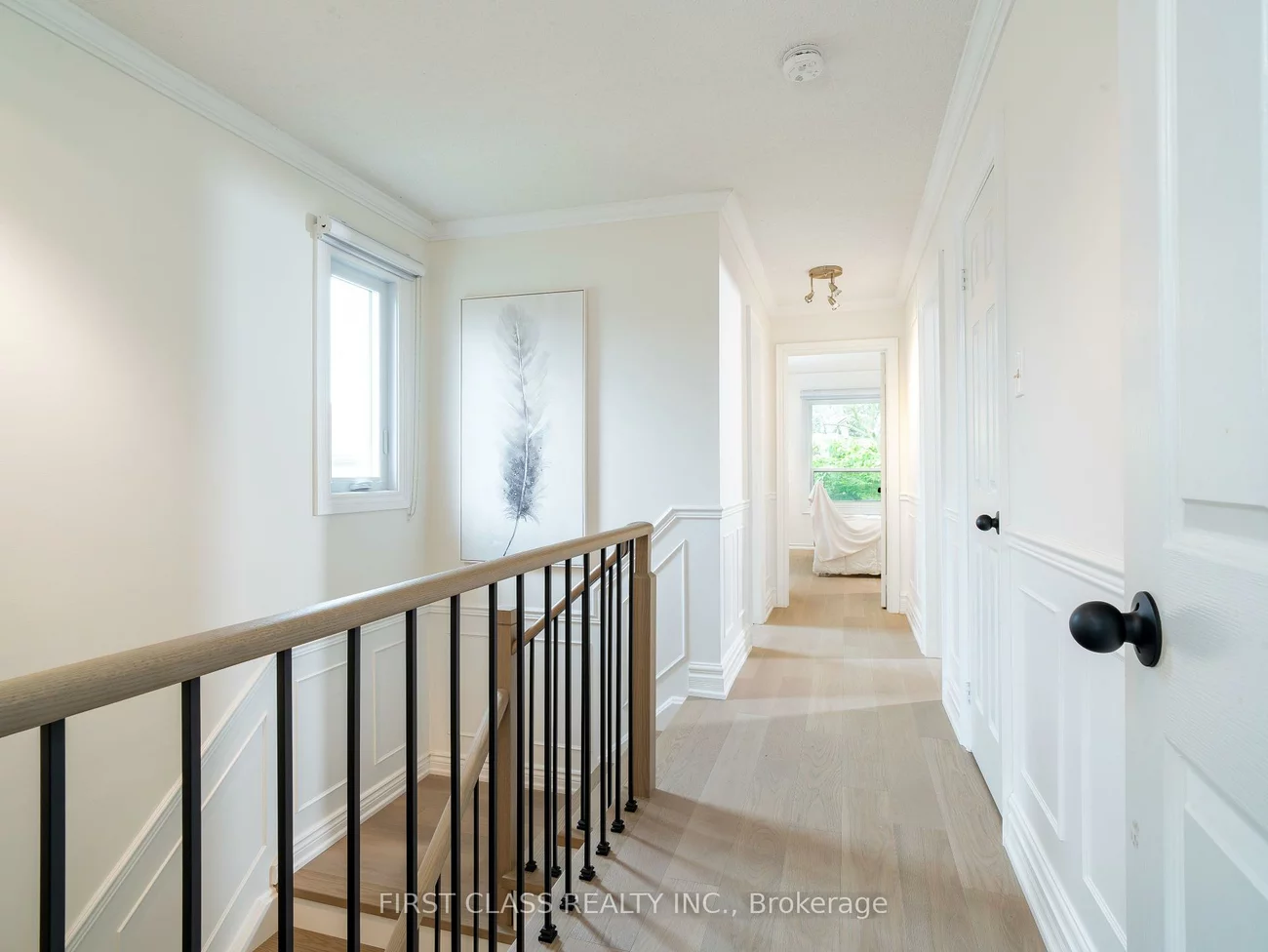 703, Caradonna, Armitage, Newmarket
