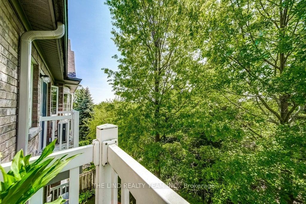 520, Silken Laumann, Stonehaven-Wyndham, Newmarket