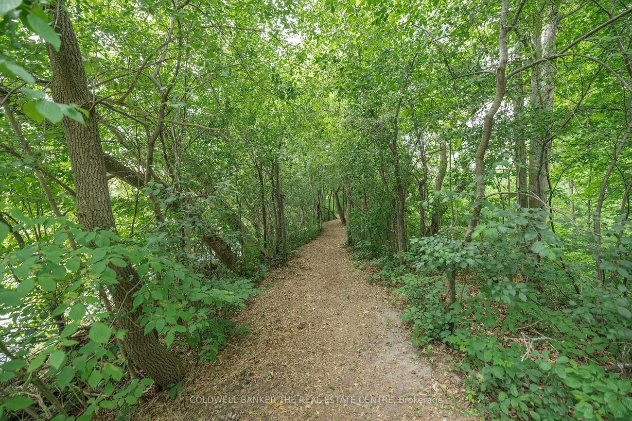 900, Bogart Mill, Gorham-College Manor, Newmarket