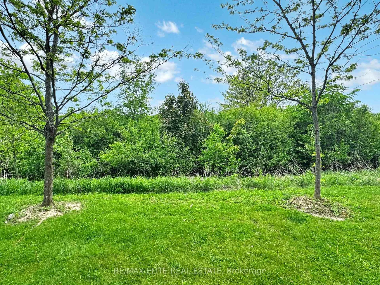 700, Wendy Culbert, Stonehaven-Wyndham, Newmarket