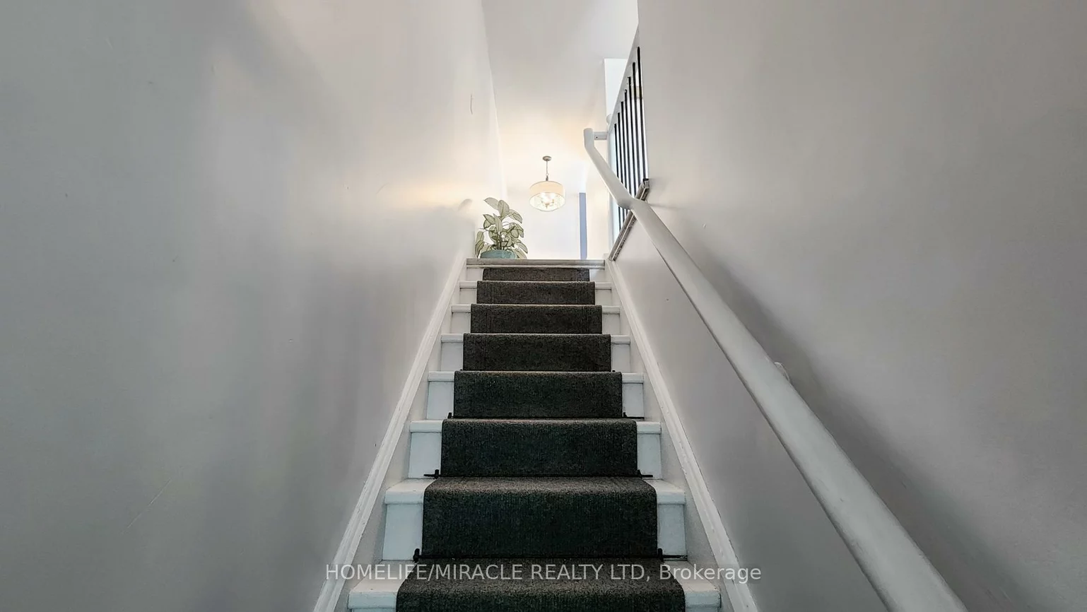 4, William Curtis, Gorham-College Manor, Newmarket