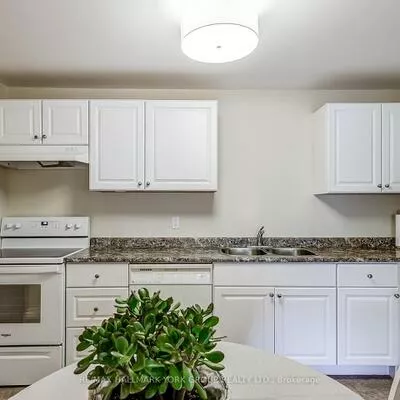 155, Main, Bristol-London, Newmarket