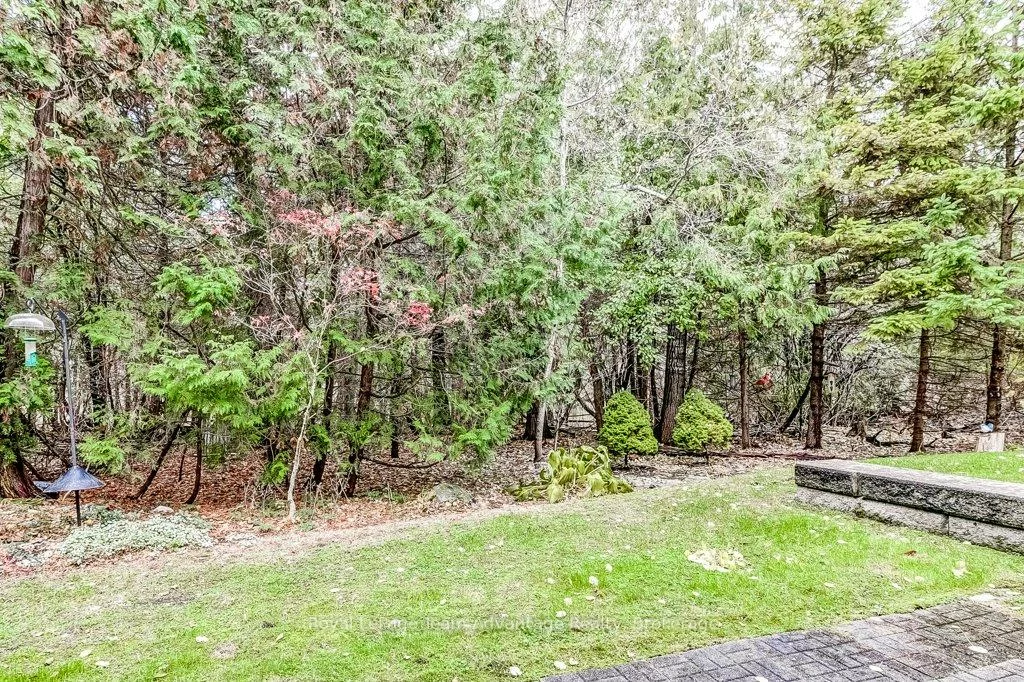 929, Creekfront, Gorham-College Manor, Newmarket