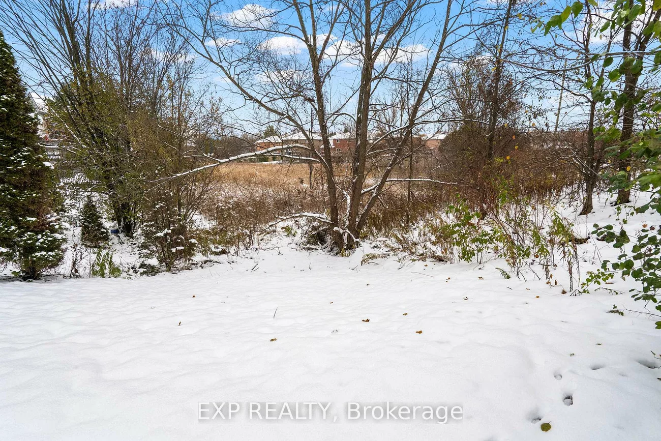 529, Winkworth, Gorham-College Manor, Newmarket