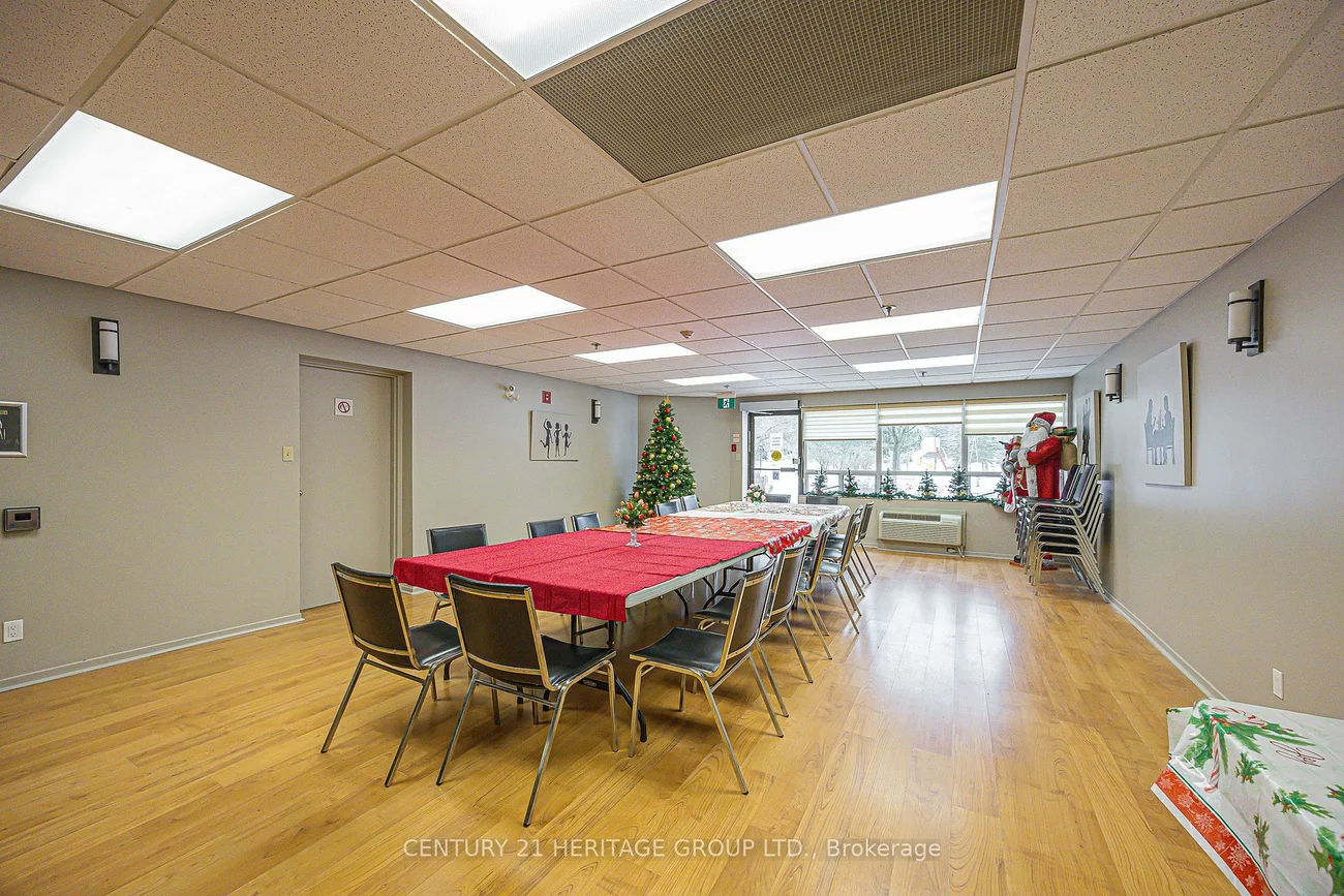 155, Main, Bristol-London, Newmarket