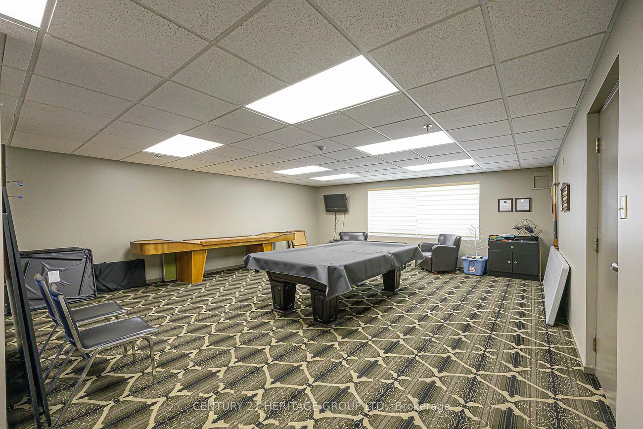 155, Main, Bristol-London, Newmarket