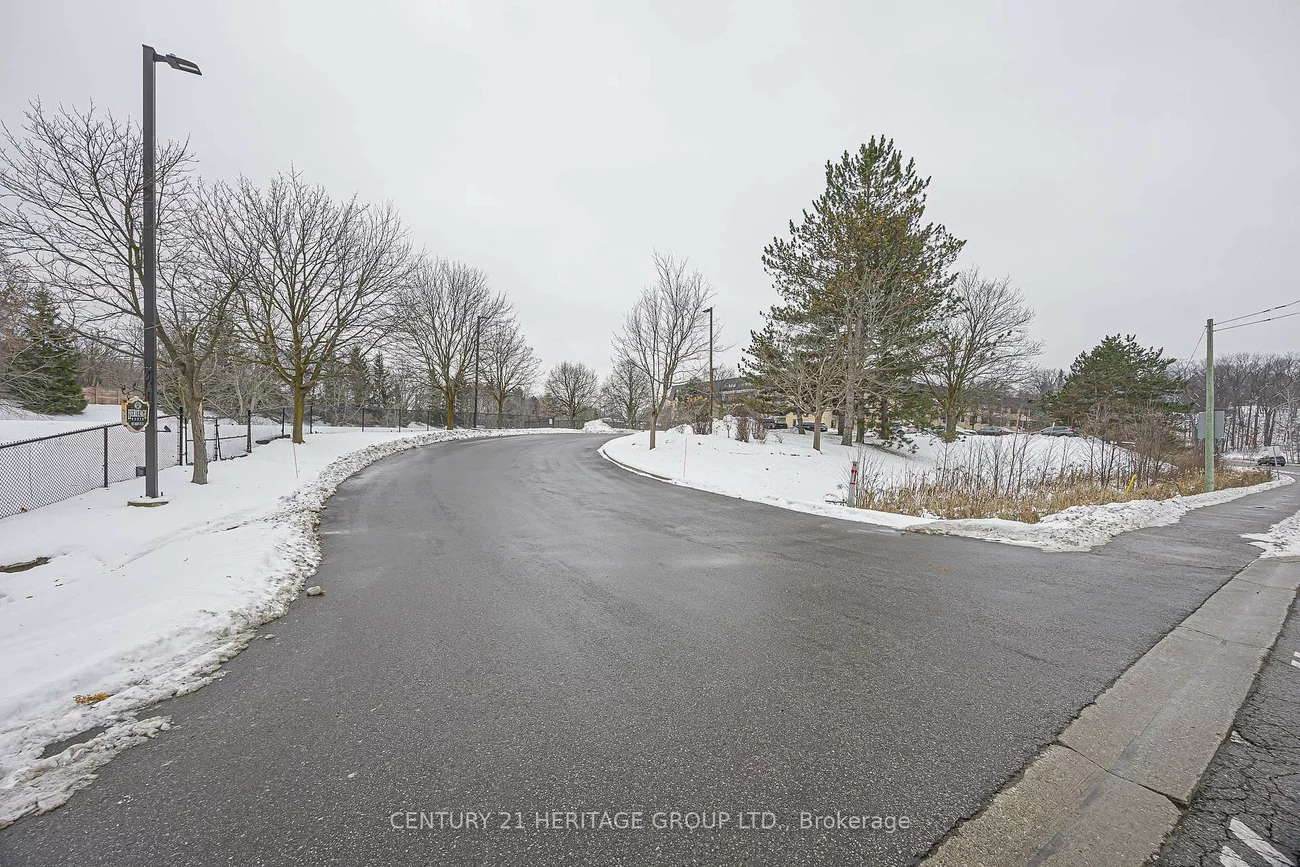 155, Main, Bristol-London, Newmarket