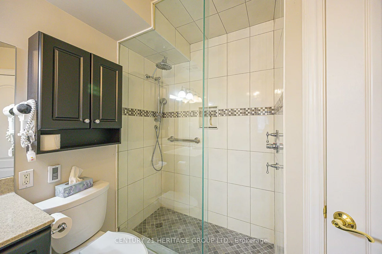 155, Main, Bristol-London, Newmarket