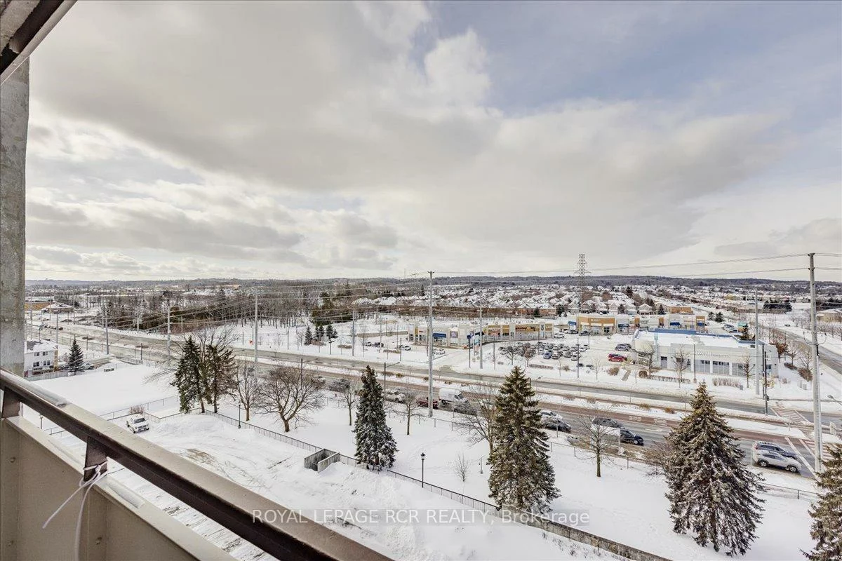 20, William Roe, Central Newmarket, Newmarket