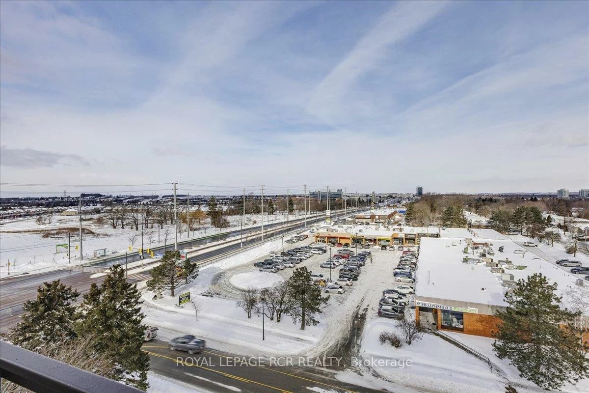 20, William Roe, Central Newmarket, Newmarket