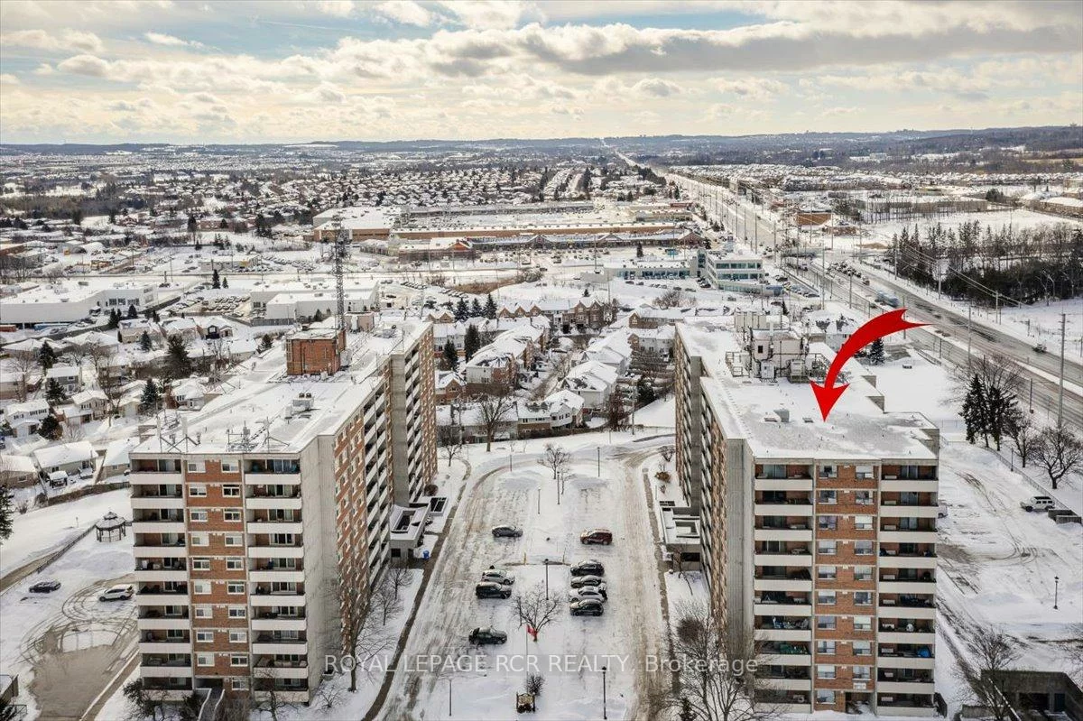 20, William Roe, Central Newmarket, Newmarket