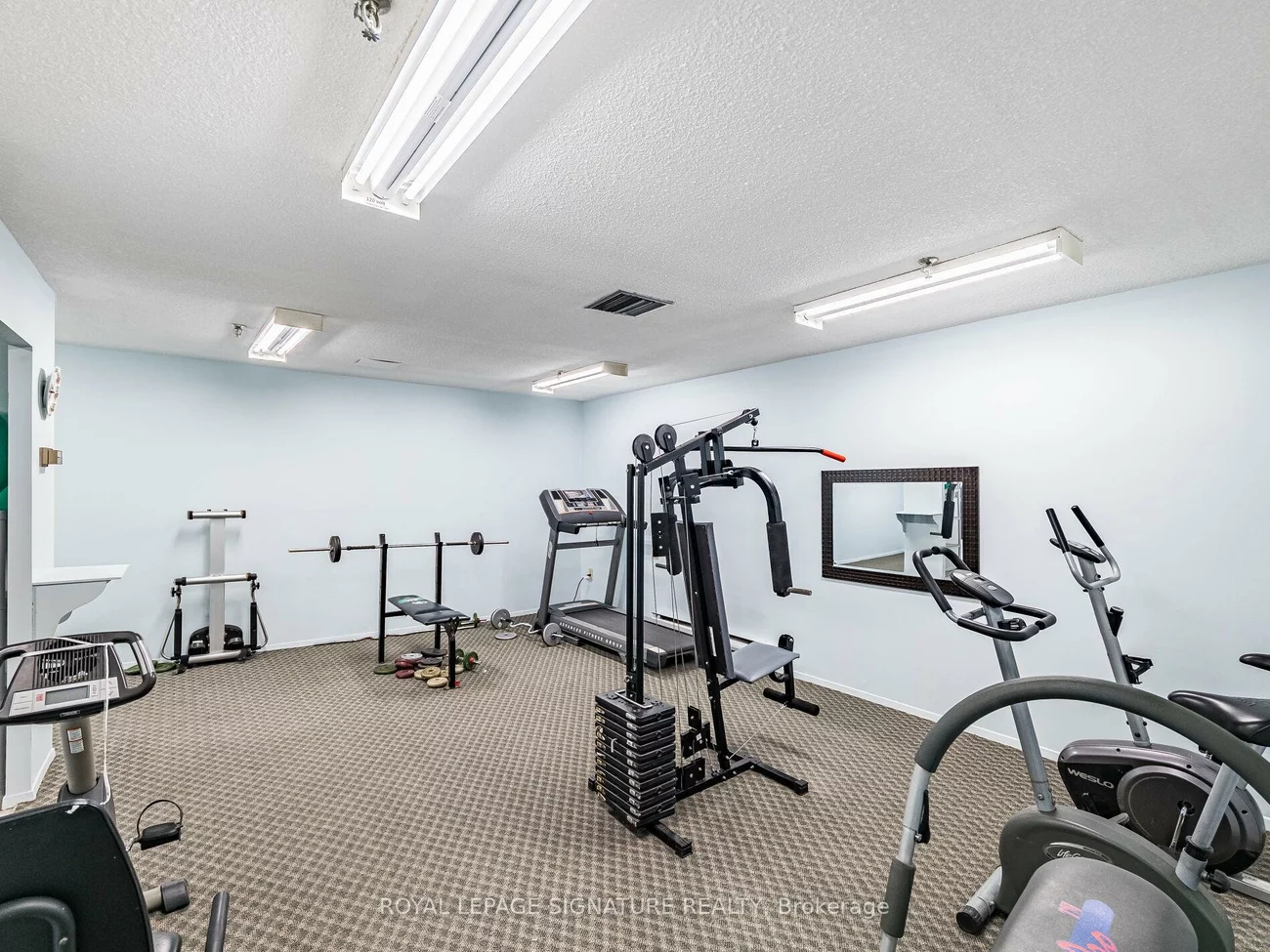 20, William Roe, Central Newmarket, Newmarket