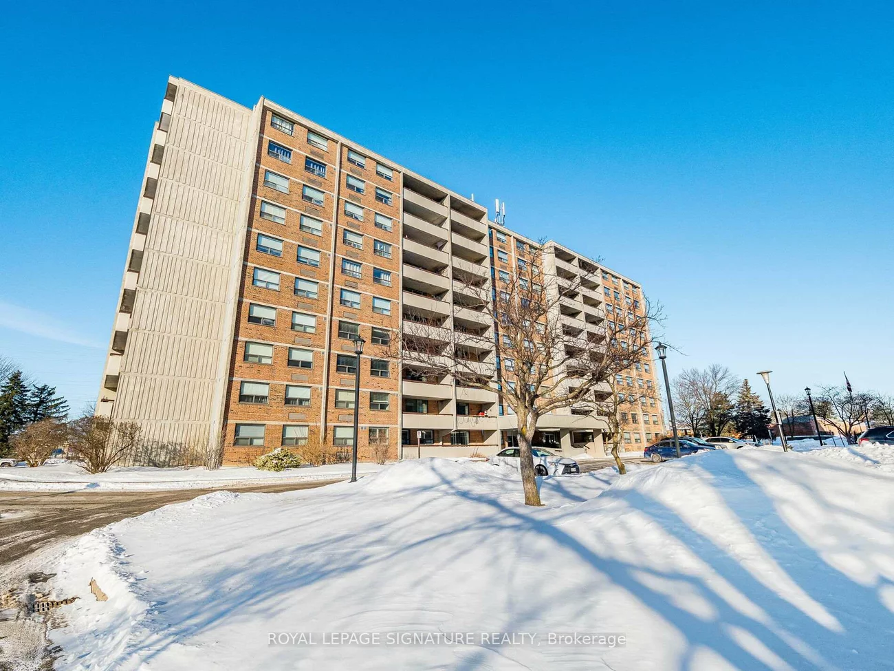 20, William Roe, Central Newmarket, Newmarket