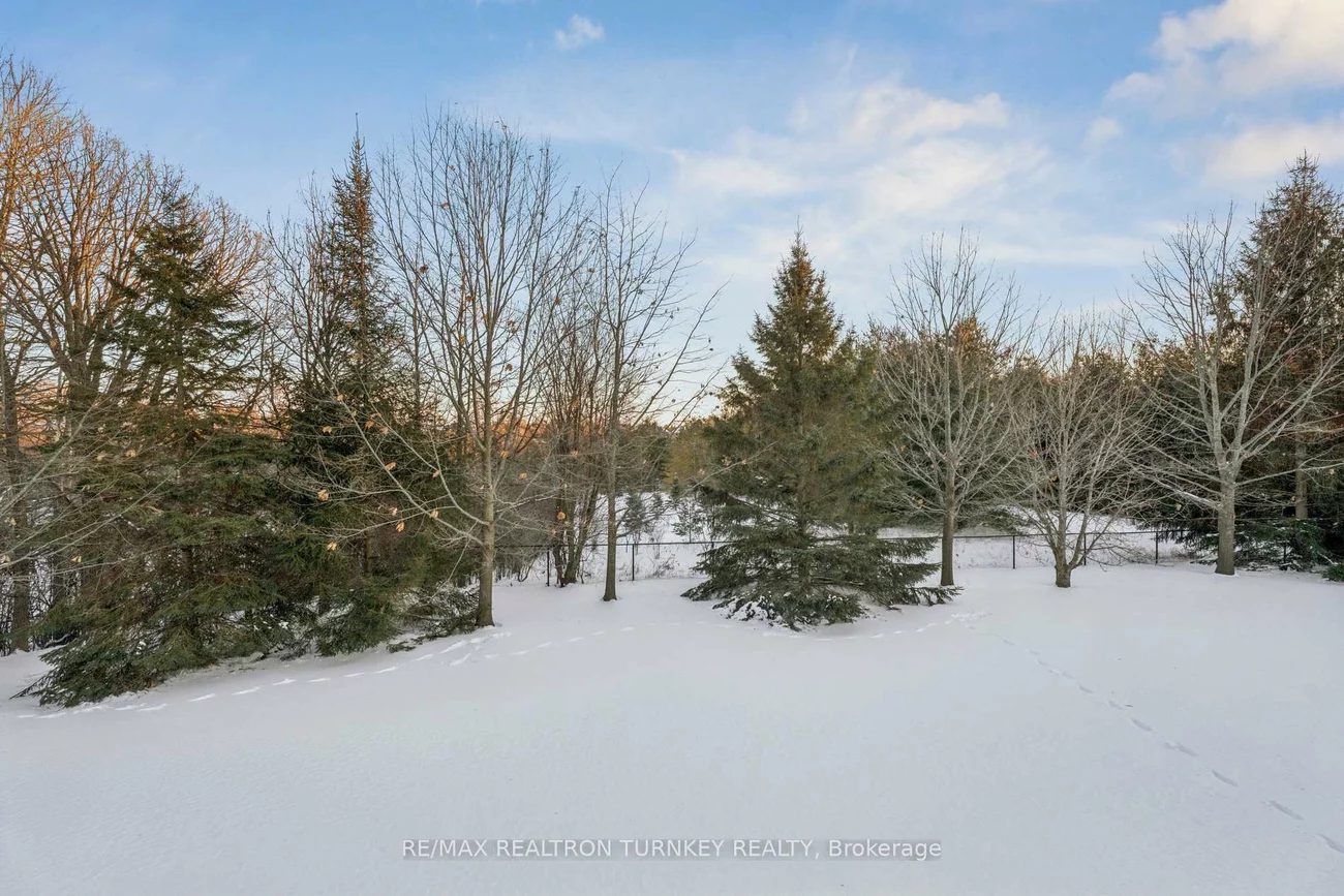 440, Morley Cook, Stonehaven-Wyndham, Newmarket