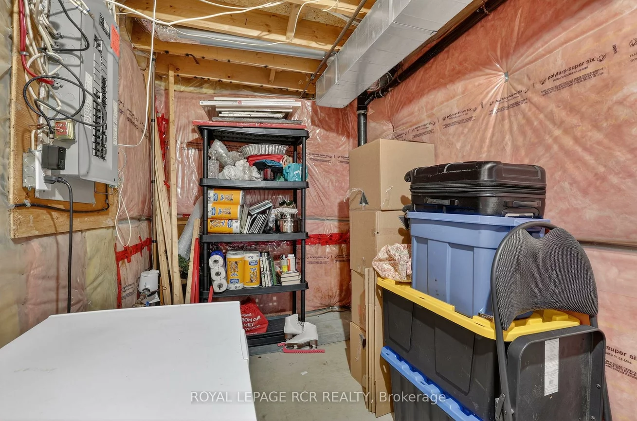 369, Riddell, Gorham-College Manor, Newmarket