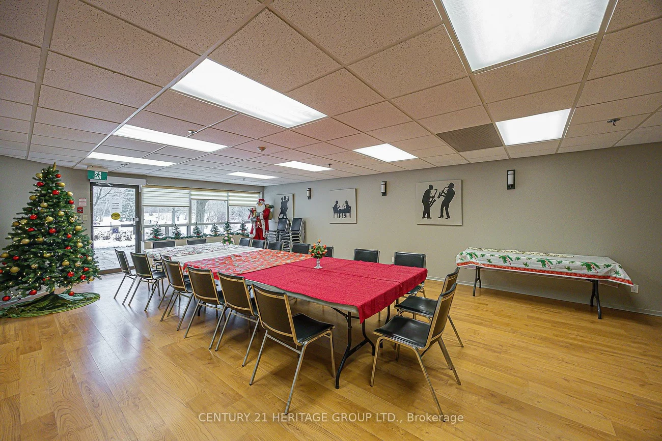 155, Main, Bristol-London, Newmarket