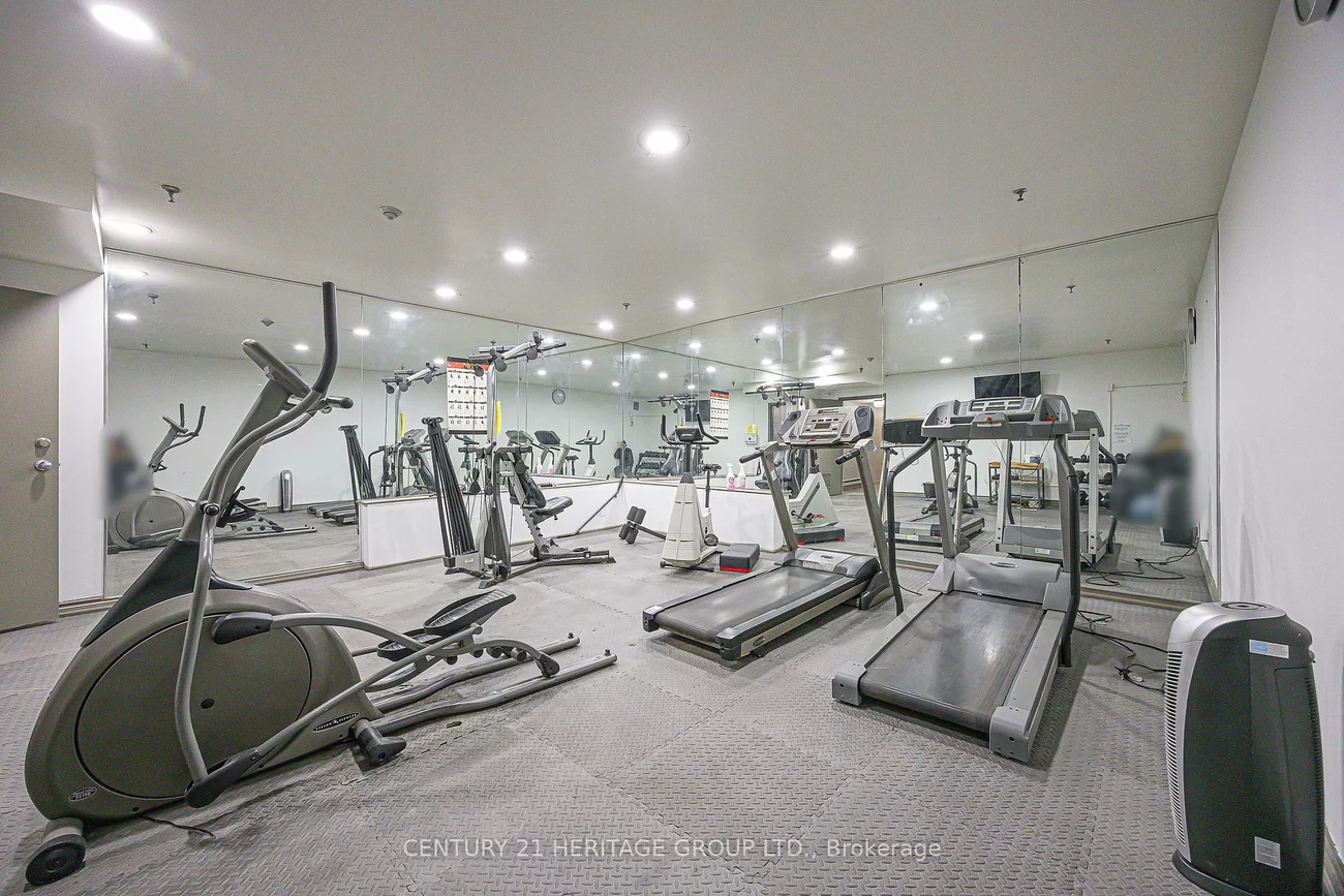 155, Main, Bristol-London, Newmarket