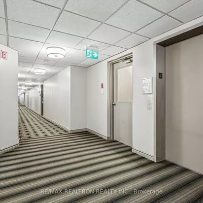 155, Main, Bristol-London, Newmarket