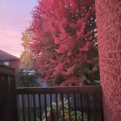 923, Caribou Valley, Armitage, Newmarket