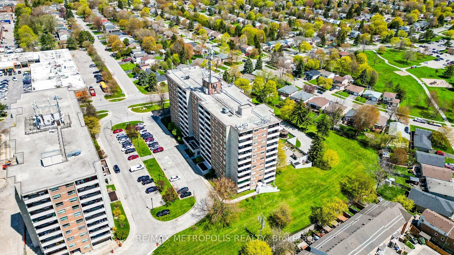 40, William Roe, Central Newmarket, Newmarket
