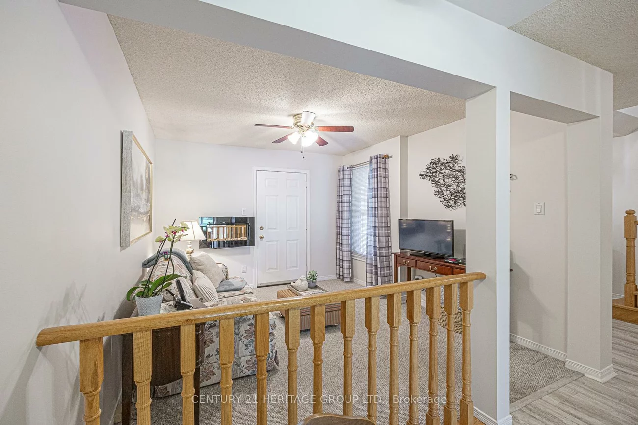 707, Caradonna, Armitage, Newmarket