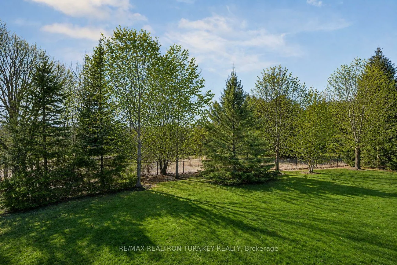 440, Morley Cook, Stonehaven-Wyndham, Newmarket