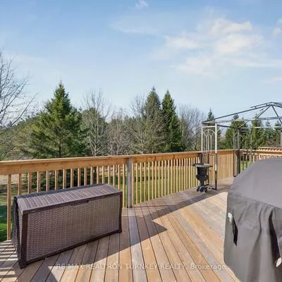 440, Morley Cook, Stonehaven-Wyndham, Newmarket