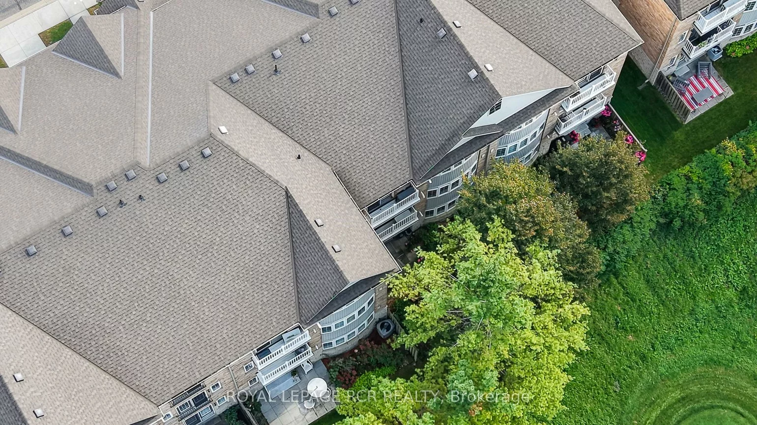 520, Silken Laumann, Stonehaven-Wyndham, Newmarket
