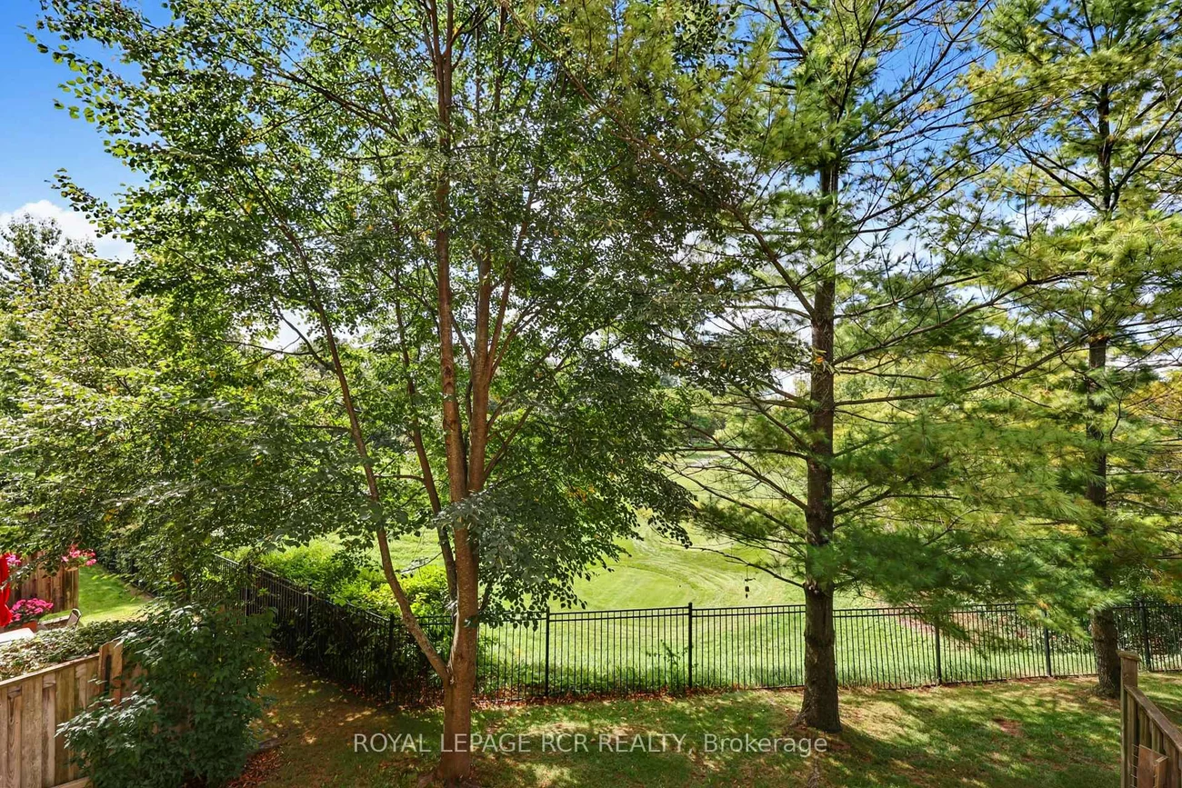 520, Silken Laumann, Stonehaven-Wyndham, Newmarket