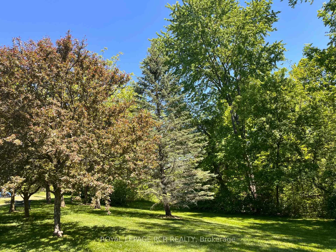 900, Bogart Mill, Gorham-College Manor, Newmarket