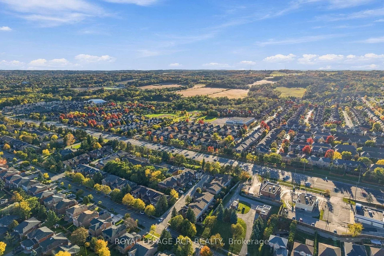707, Caradonna, Armitage, Newmarket