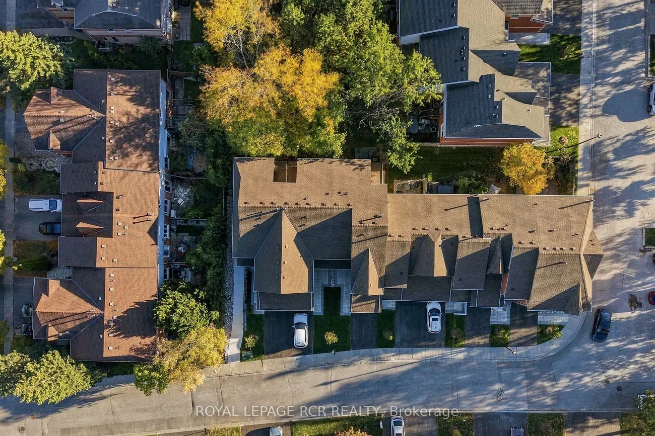 707, Caradonna, Armitage, Newmarket
