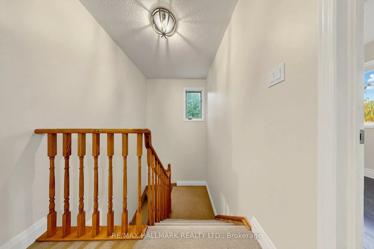 351, Riddell, Gorham-College Manor, Newmarket