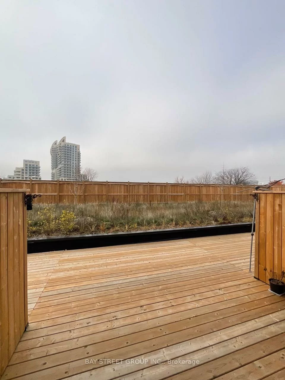 370 G, Red Maple, Langstaff, Richmond Hill