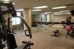 39, Oneida, Langstaff, Richmond Hill