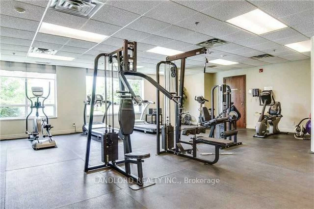 11, Oneida, Langstaff, Richmond Hill