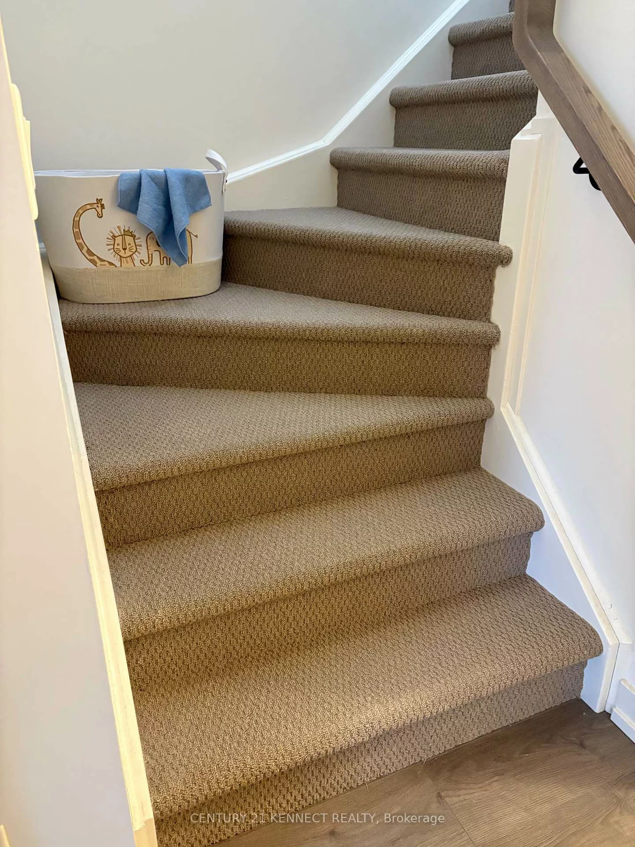 56, Elizabeth, Mill Pond, Richmond Hill